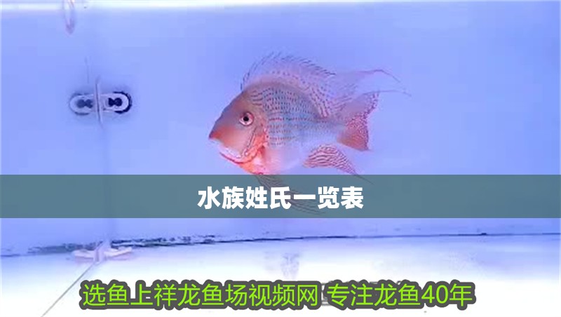 水族姓氏一覽表