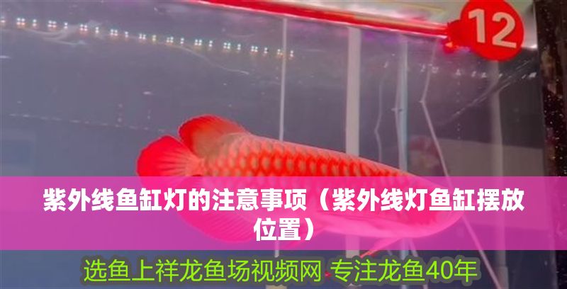 紫外線魚缸燈的注意事項(xiàng)（紫外線燈魚缸擺放位置）