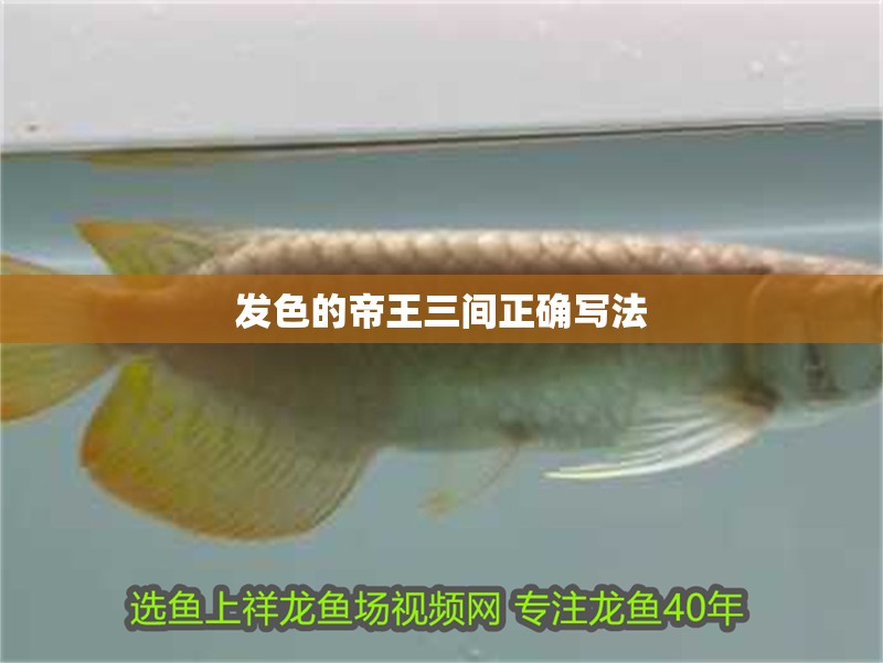 發色的帝王三間正確寫法