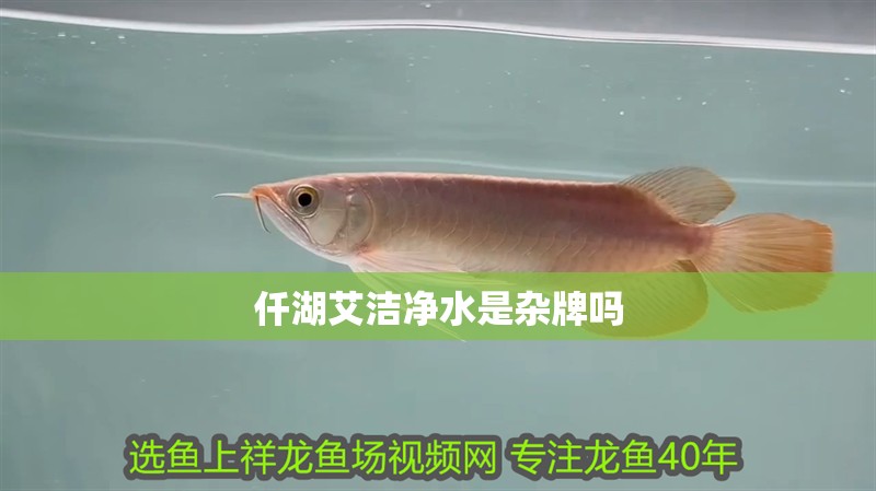 仟湖艾潔凈水是雜牌嗎