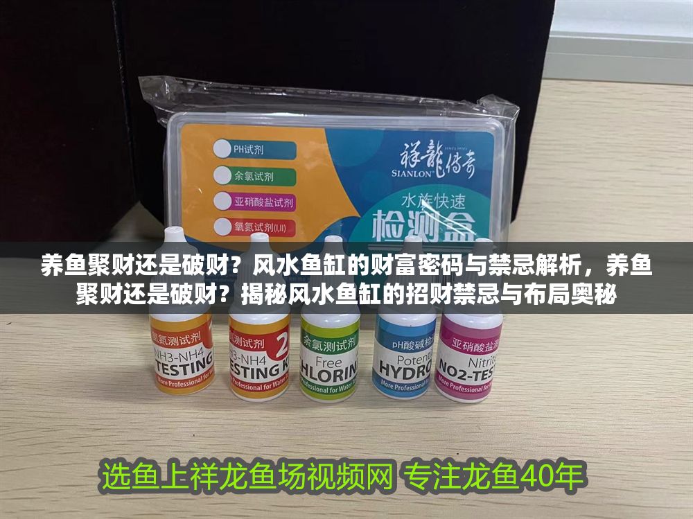 養(yǎng)魚(yú)聚財(cái)還是破財(cái)？風(fēng)水魚(yú)缸的財(cái)富密碼與禁忌解析，養(yǎng)魚(yú)聚財(cái)還是破財(cái)？揭秘風(fēng)水魚(yú)缸的招財(cái)禁忌與布局奧秘