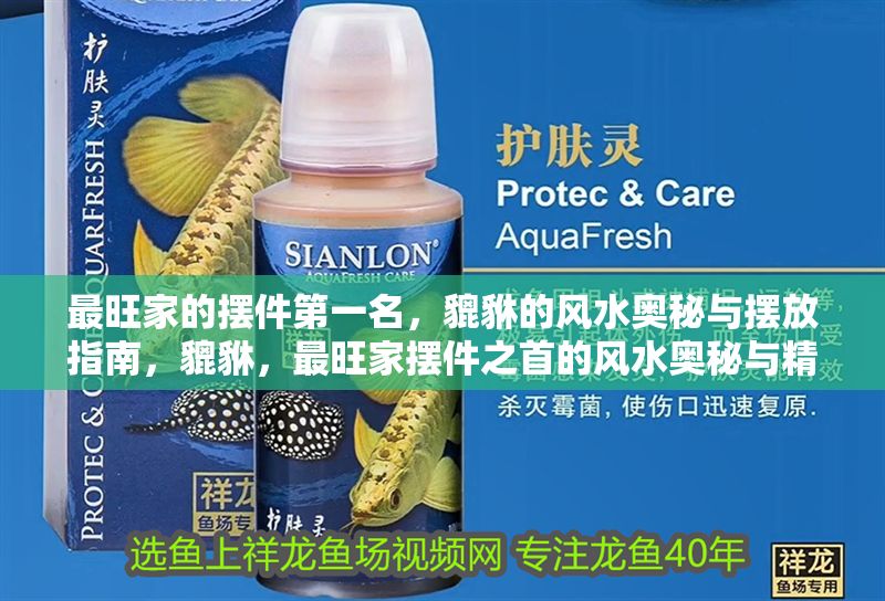 最旺家的擺件第一名，貔貅的風水奧秘與擺放指南，貔貅，最旺家擺件之首的風水奧秘與精準擺放指南