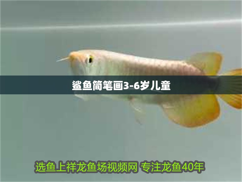 鯊魚(yú)簡(jiǎn)筆畫3-6歲兒童
