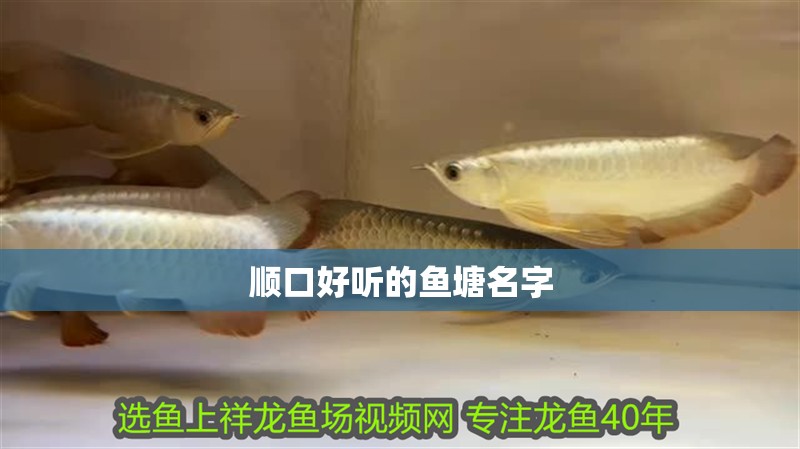順口好聽的魚塘名字