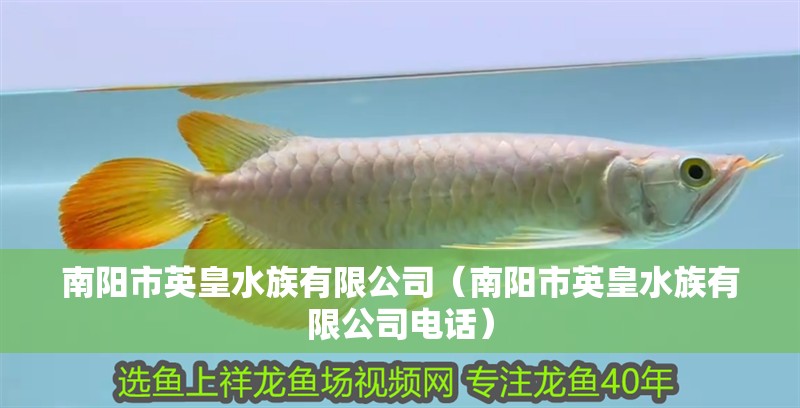 南陽市英皇水族有限公司（南陽市英皇水族有限公司電話）