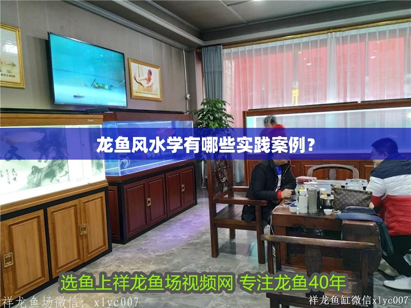 龍魚風水學有哪些實踐案例？