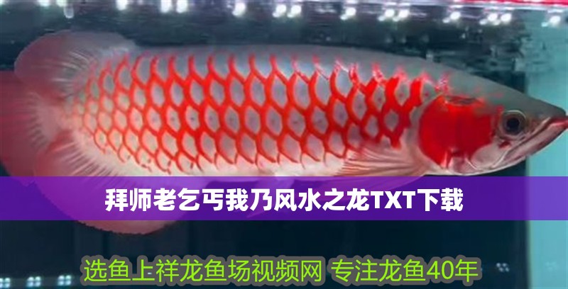 拜師老乞丐我乃風水之龍TXT下載