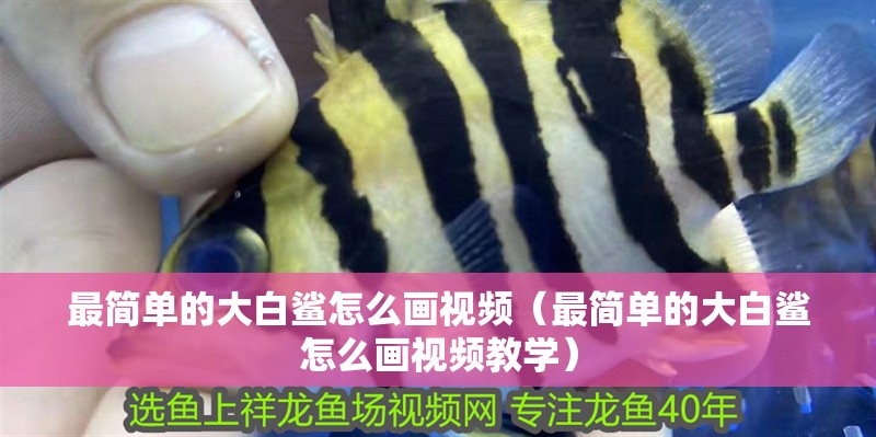 最簡(jiǎn)單的大白鯊怎么畫視頻（最簡(jiǎn)單的大白鯊怎么畫視頻教學(xué)）