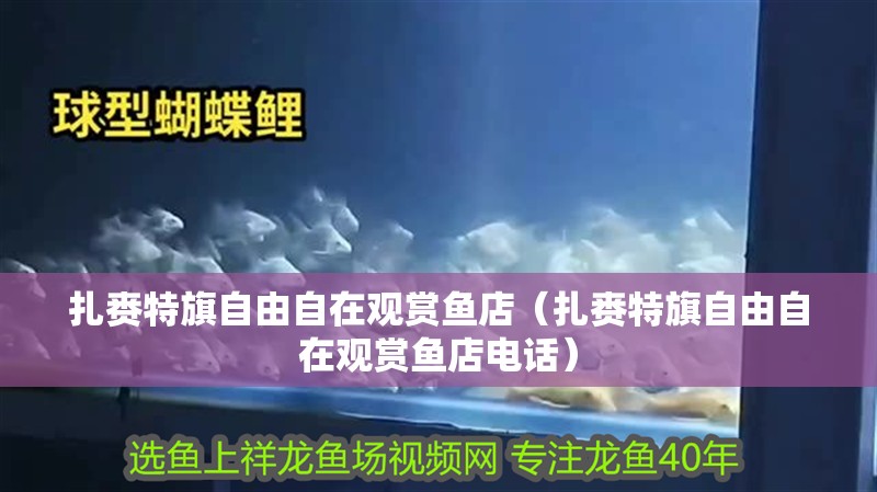 扎賚特旗自由自在觀賞魚店（扎賚特旗自由自在觀賞魚店電話）
