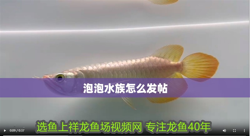 魚缸過濾器選購指南:自制魚缸過濾器魚缸上置過濾器對于養魚愛好者的必備知識 泡泡水族怎么發帖 龍魚論壇 泡泡水族怎么發帖 泡泡水族怎么發帖 龍魚論壇
