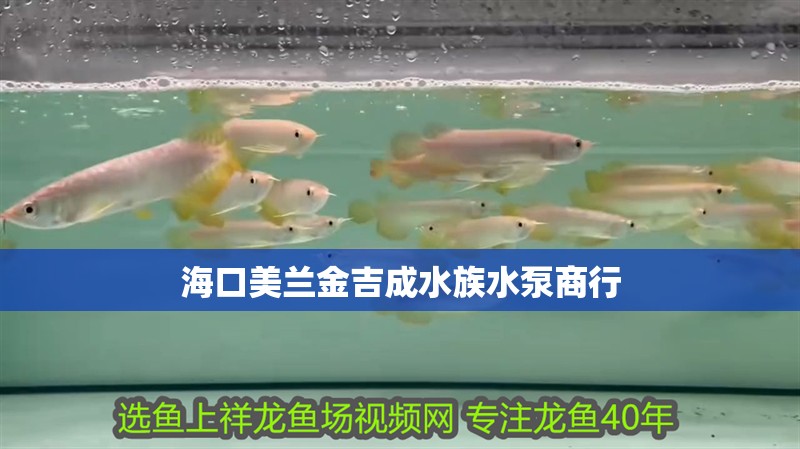海口美蘭金吉成水族水泵商行