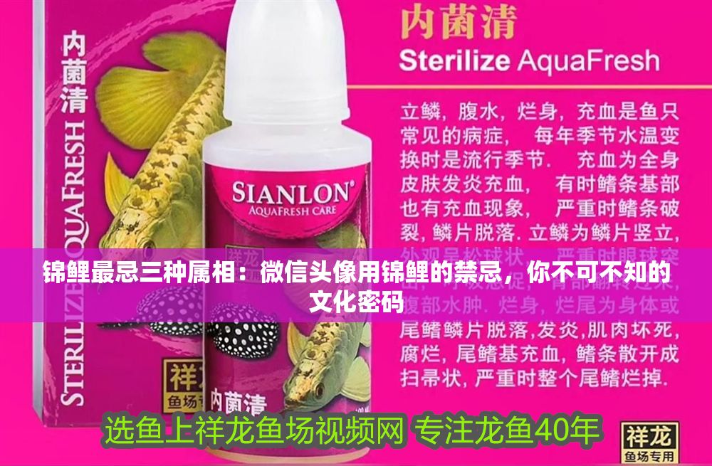 詳細閱讀:錦鯉最忌三種屬相:微信頭像用錦鯉的禁忌,你不可不知的文化密碼 錦鯉最忌三種屬相:微信頭像用錦鯉的禁忌,你不可不知的文化密碼