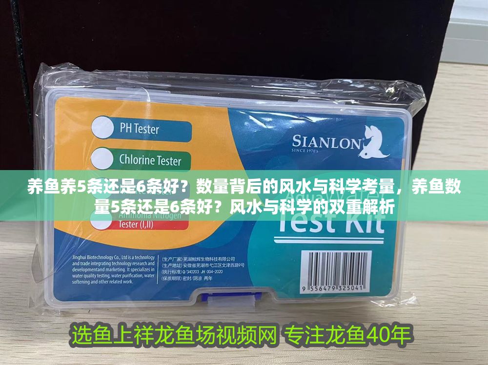 養魚養5條還是6條好？數量背后的風水與科學考量，養魚數量5條還是6條好？風水與科學的雙重解析