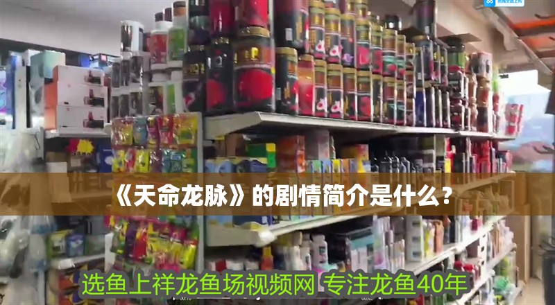 《天命龍脈》的劇情簡介是什么？