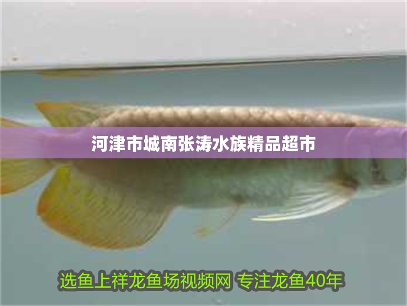 <strong><mark>河津</mark></strong>市城南張濤水族精品超市