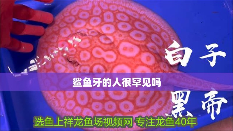 鯊魚牙的人很罕見嗎