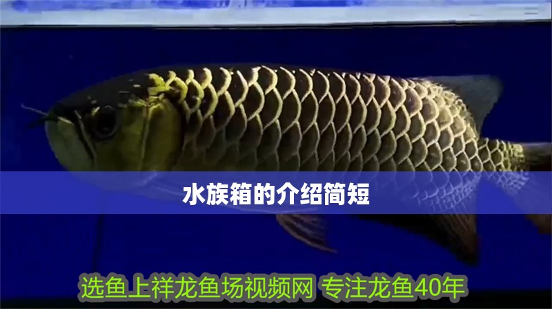 水族箱的介紹簡短 水族箱的介紹簡短 龍魚論壇