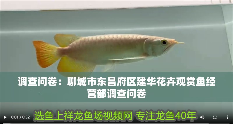 調(diào)查問卷：聊城市東昌府區(qū)建華花卉觀賞魚經(jīng)營部調(diào)查問卷