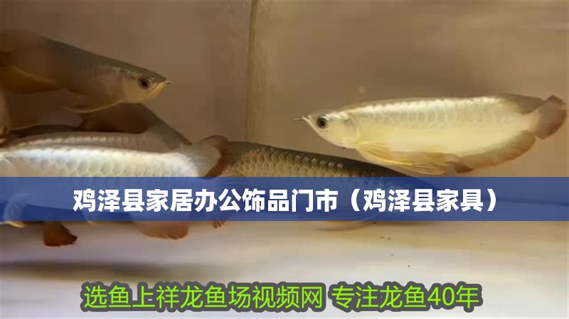 雞澤縣家居辦公飾品門市（雞澤縣家具）