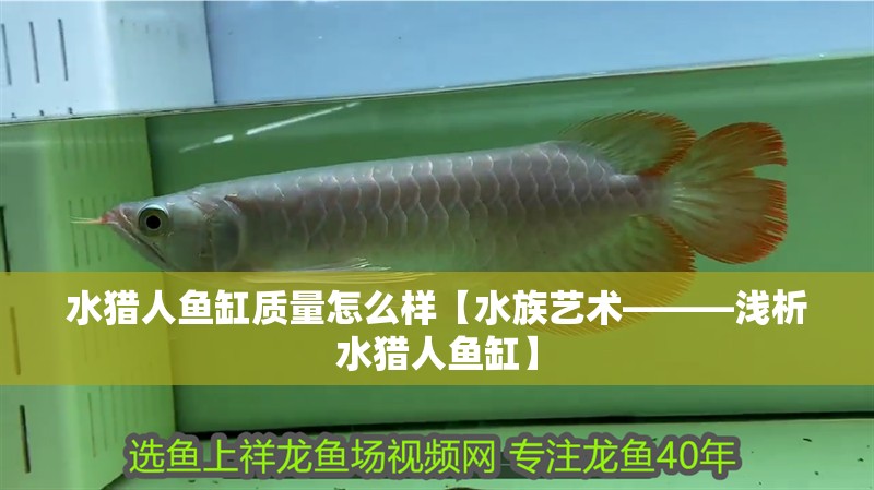 水獵人魚缸質(zhì)量怎么樣【水族藝術(shù)———淺析水獵人魚缸】