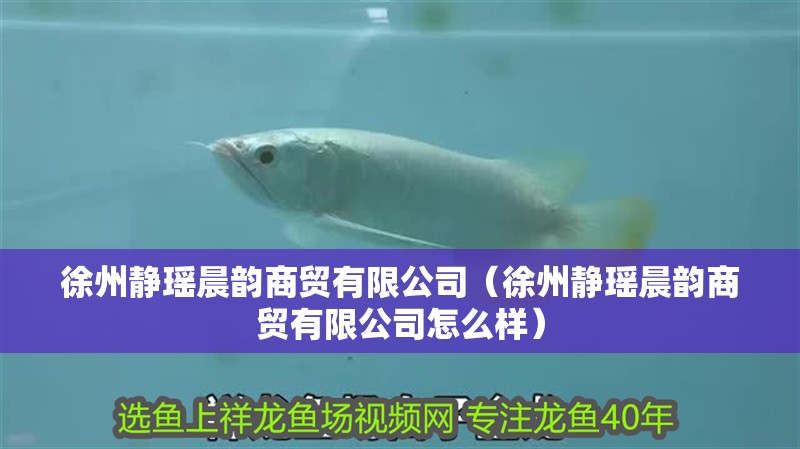 徐州靜瑤晨韻商貿有限公司（徐州靜瑤晨韻商貿有限公司怎么樣）