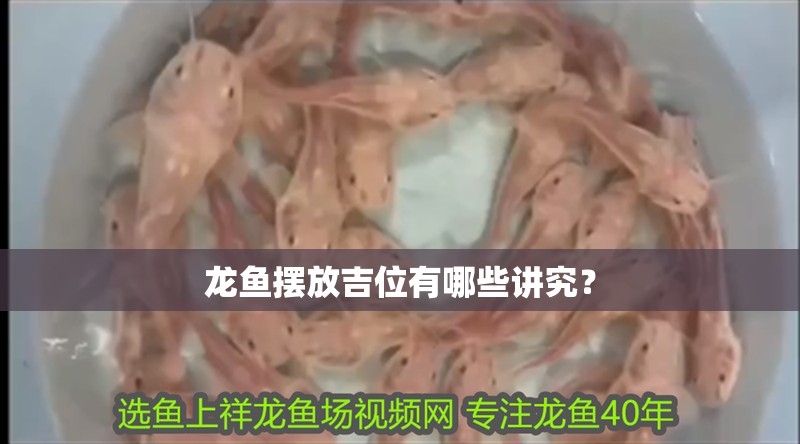 龍魚擺放吉位有哪些講究？