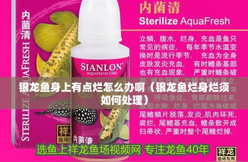 銀龍魚身上有點爛怎么辦啊（銀龍魚爛身爛須如何處理）