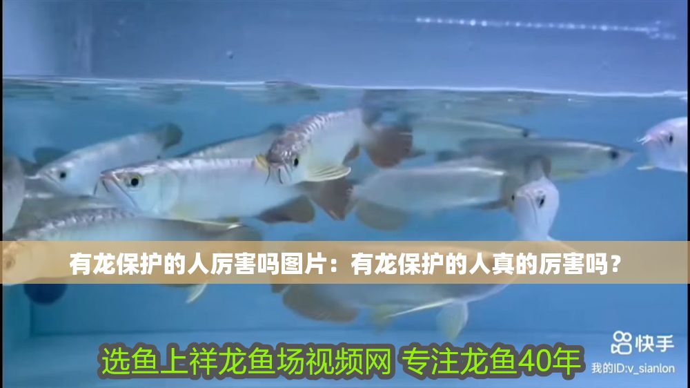 有龍保護的人厲害嗎圖片：有龍保護的人真的厲害嗎？