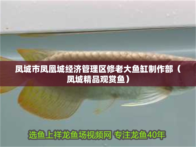 鳳城市鳳凰城經濟管理區修老大魚缸制作部（鳳城精品觀賞魚）