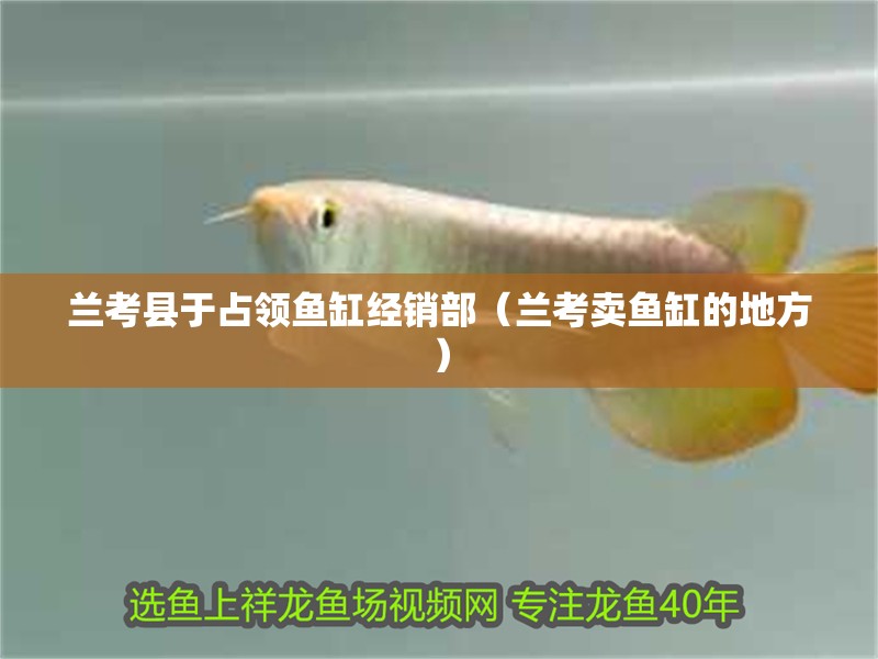 蘭考縣于占領(lǐng)魚(yú)缸經(jīng)銷部（蘭考賣魚(yú)缸的地方）