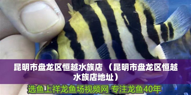 昆明市盤龍區恒越水族店 （昆明市盤龍區恒越水族店地址）