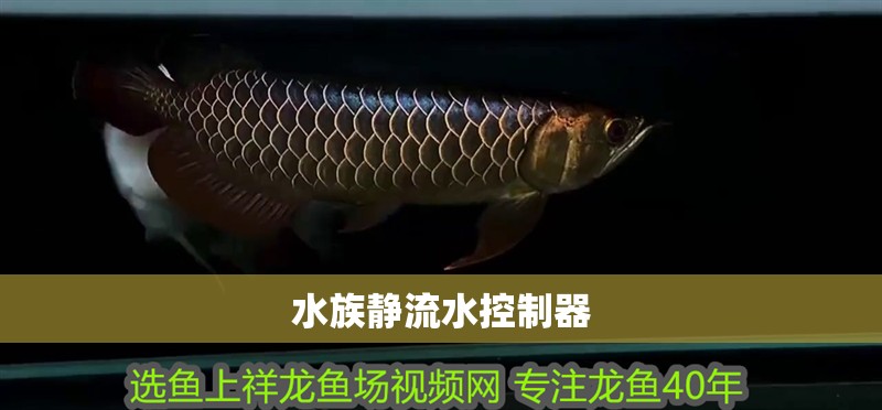 水族靜流水控制器