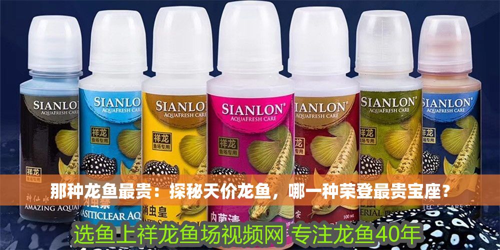 那種龍魚最貴：探秘天價龍魚，哪一種榮登最貴寶座？