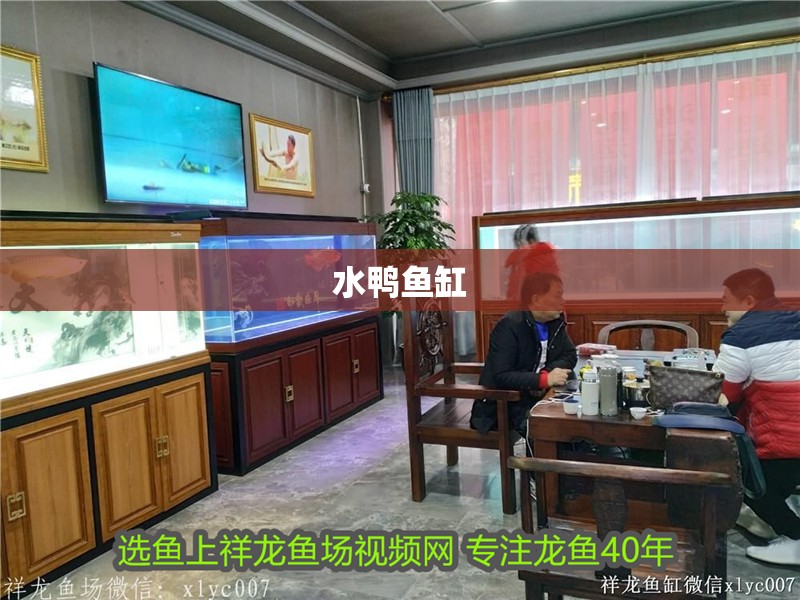 水鴨魚缸