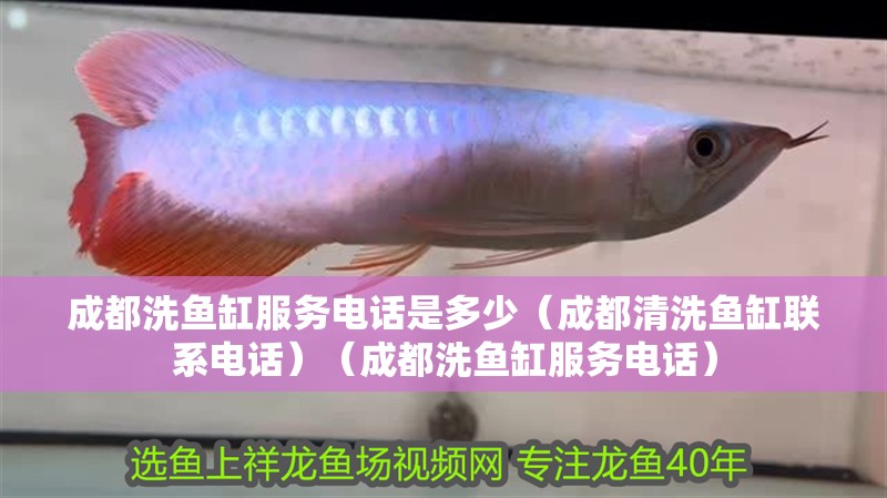 成都洗魚缸服務電話是多少（成都清洗魚缸聯系電話）（成都洗魚缸服務電話）