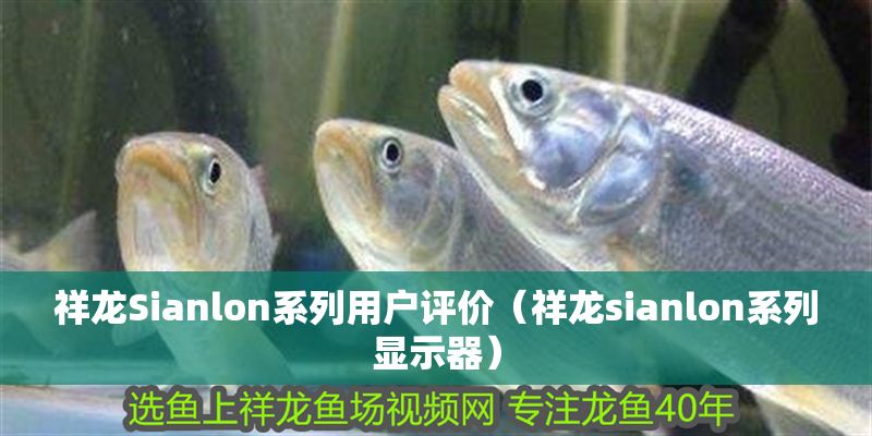 祥龍Sianlon系列用戶評價（祥龍sianlon系列顯示器）
