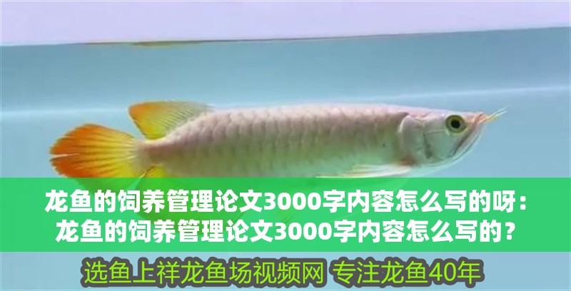 龍魚的飼養管理論文3000字內容怎么寫的呀：龍魚的飼養管理論文3000字內容怎么寫的？