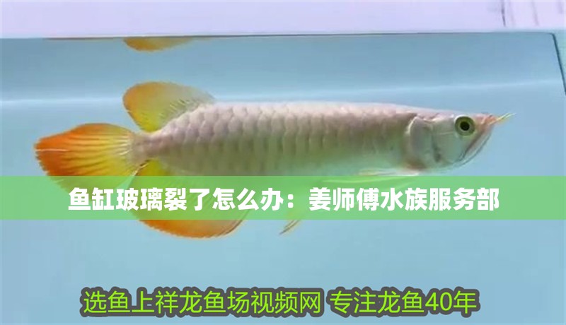 魚缸玻璃裂了怎么辦：姜師傅水族服務(wù)部