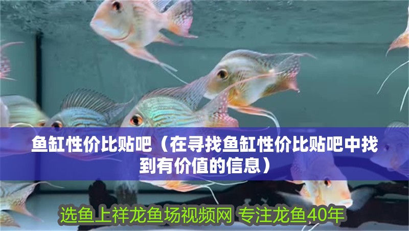 魚缸性價比貼吧（在尋找魚缸性價比貼吧中找到有價值的信息）