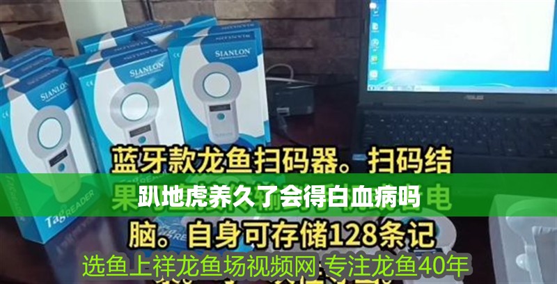 趴地虎養久了會得白血病嗎