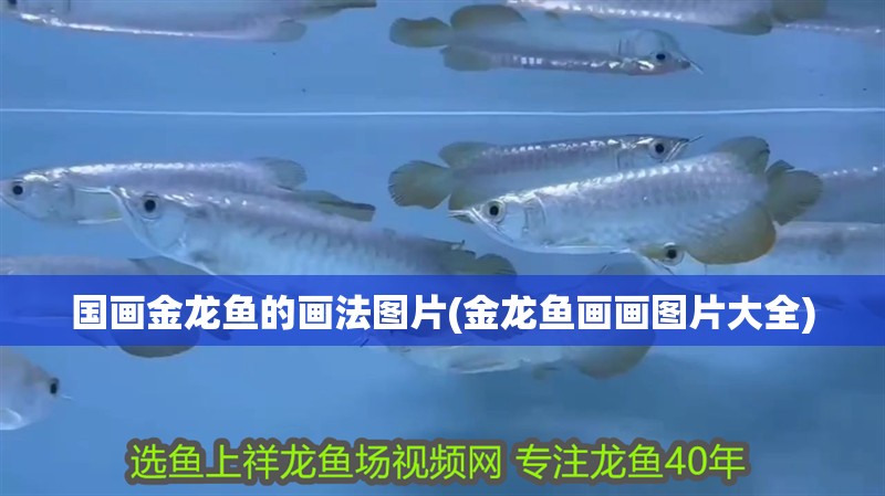 國畫金龍魚的畫法圖片(金龍魚畫畫圖片大全)