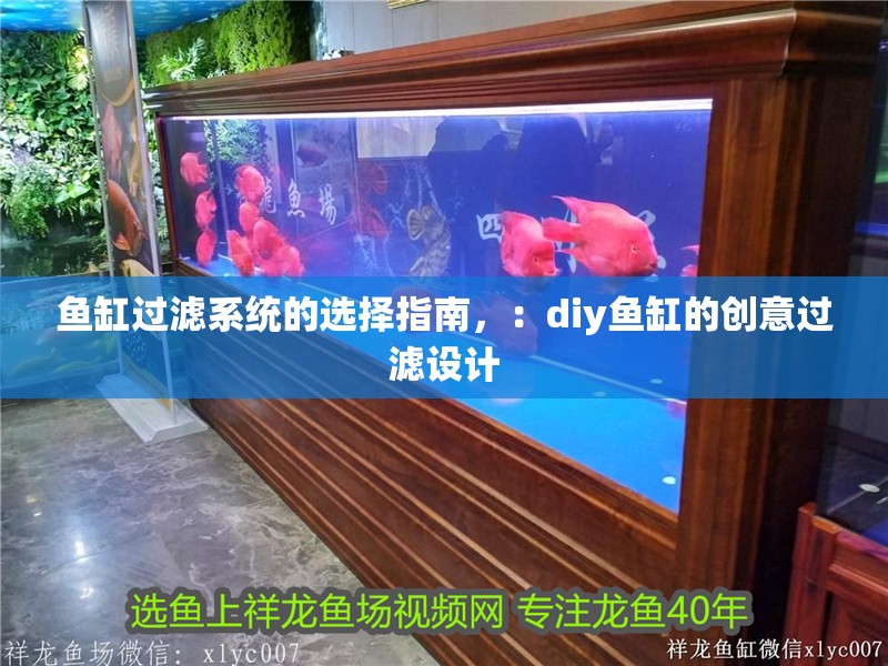 魚缸過濾系統(tǒng)的選擇指南，：diy魚缸的創(chuàng)意過濾設(shè)計