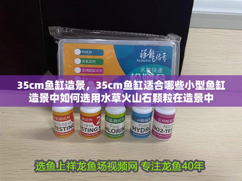 35cm魚缸造景，35cm魚缸適合哪些小型魚缸造景中如何選用水草火山石顆粒在造景中