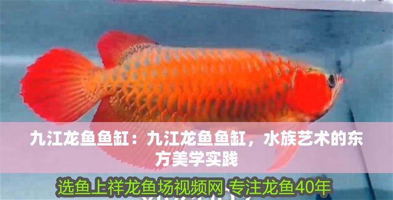 九江龍魚魚缸：九江龍魚魚缸，水族藝術的東方美學實踐