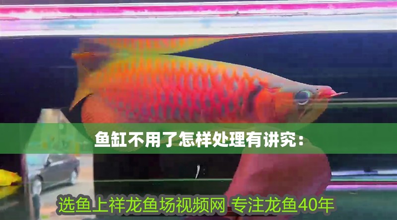魚缸不用了怎樣處理有講究：