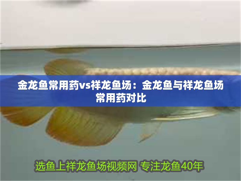 金龍魚常用藥vs祥龍魚場：金龍魚與祥龍魚場常用藥對比