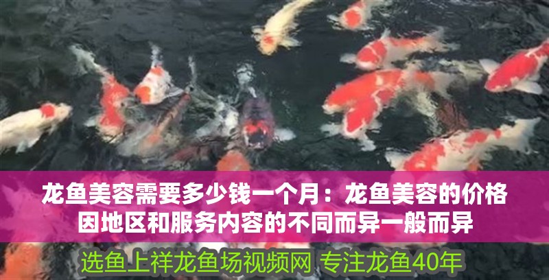 龍魚美容需要多少錢一個(gè)月：龍魚美容的價(jià)格因地區(qū)和服務(wù)內(nèi)容的不同而異一般而異