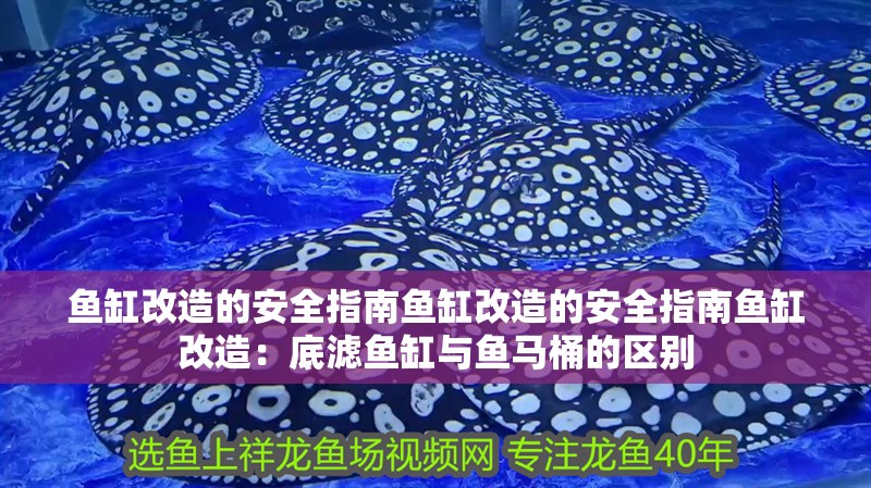 魚缸改造的安全指南魚缸改造的安全指南魚缸改造：底濾魚缸與魚馬桶的區(qū)別
