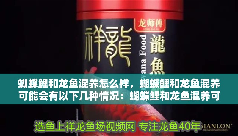 蝴蝶鯉和龍魚混養怎么樣，蝴蝶鯉和龍魚混養可能會有以下幾種情況：蝴蝶鯉和龍魚混養可能會有以下幾種情況，蝴蝶鯉和龍魚混養怎么樣