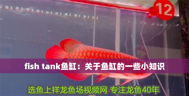 fish tank魚缸：關于魚缸的一些小知識